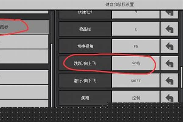 我的世界传多人模式飞行_超体对抗双人飞行怎么搞