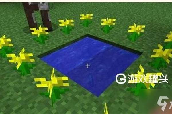 我的世界手机版去暮色森林传送门建出来了,