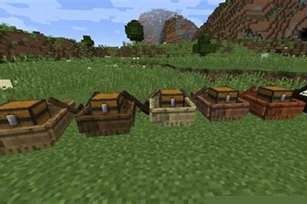 我的世界船上可以放箱子吗_我的世界箱子怎么装到船上