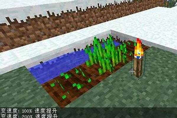 我的世界超级加速火把怎么设置_mc加速火把怎么加速熔炉