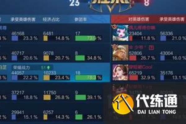 王者荣耀刺客的评分标准_王者荣耀人指数肿么答