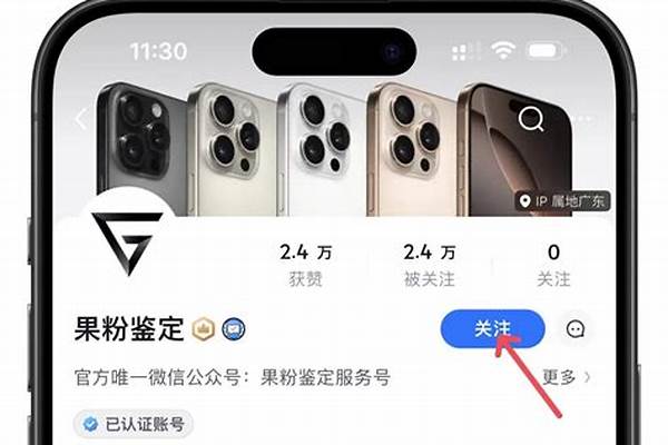 苹果手机在游戏里面充值没扣钱，开了发票之